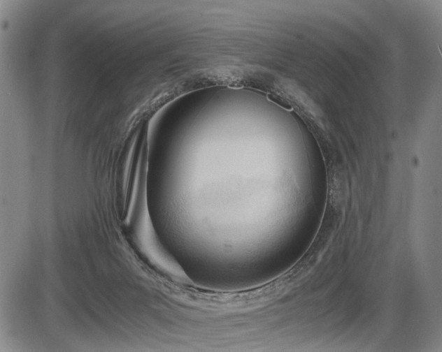 X0000086060023200703301052