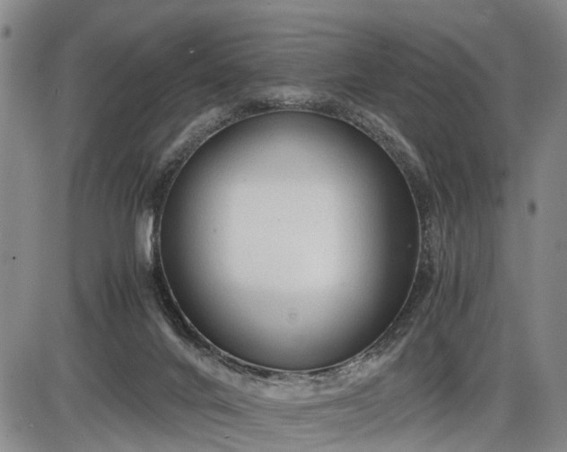 X0000086060024200703301052