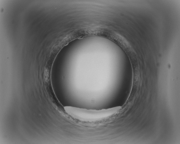 X0000086060025200703301052