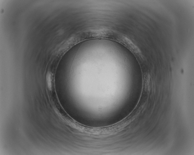 X0000086060026200703301052