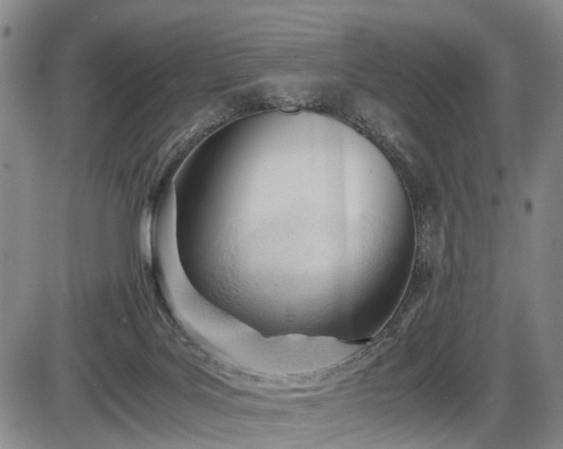 X0000086060027200703301052