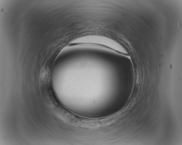 X0000086060029200703301052