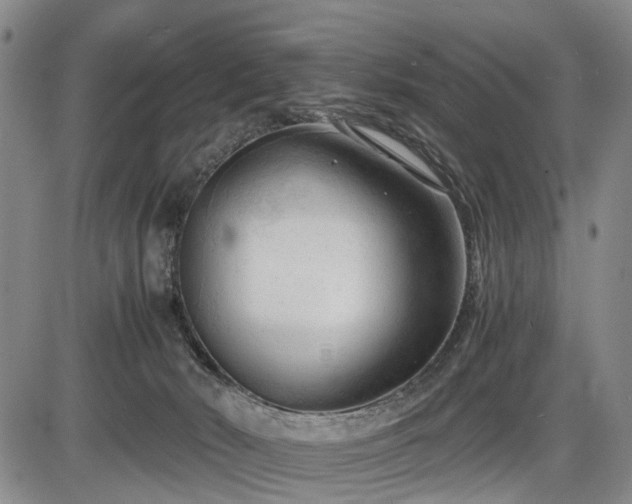 X0000086060030200703301052