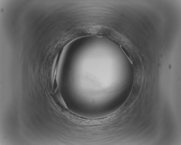 X0000086060031200703301052