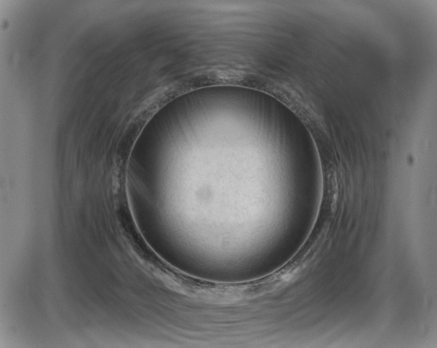 X0000086060032200703301052