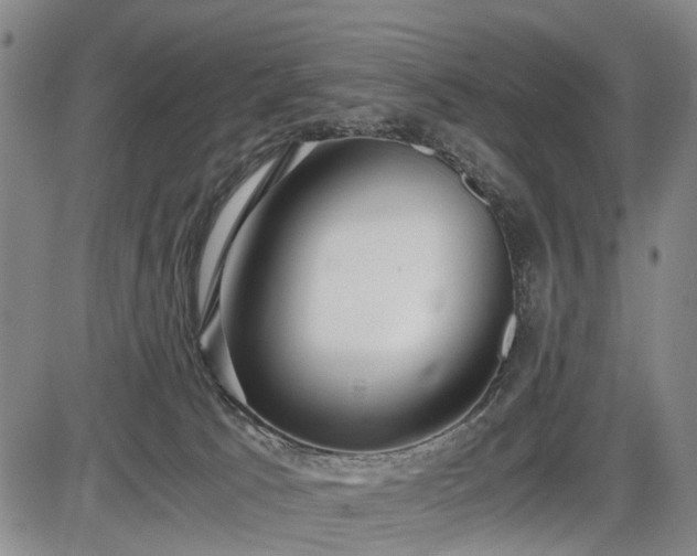 X0000086060033200703301052