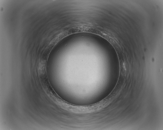 X0000086060034200703301052