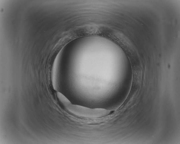 X0000086060035200703301052