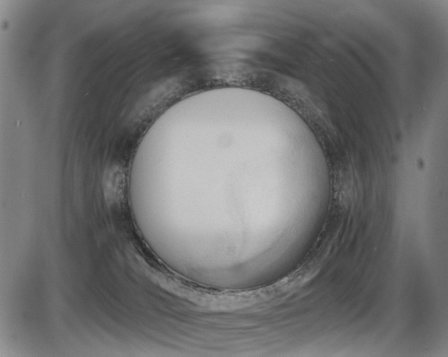 X0000086060036200703301052