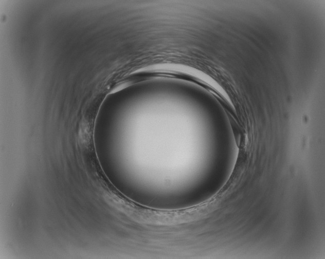 X0000086060037200703301052