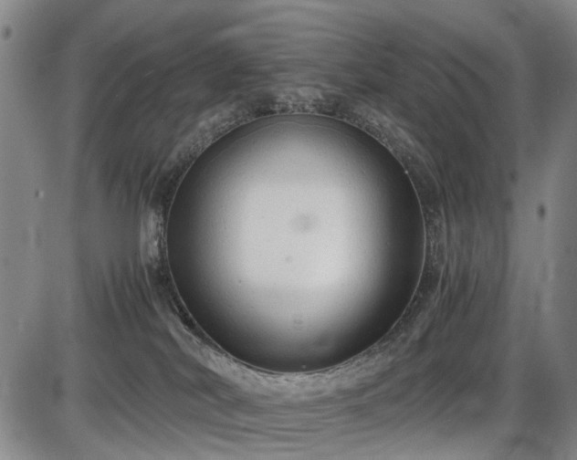 X0000086060038200703301052