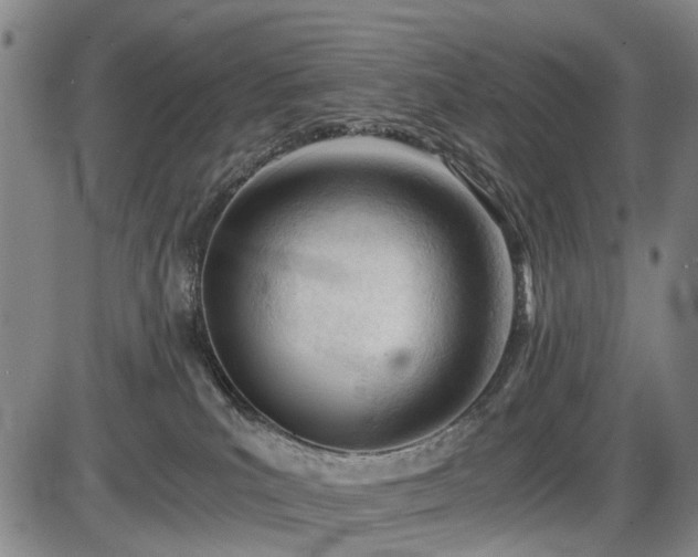 X0000086060039200703301052