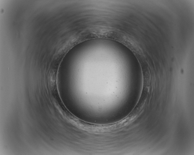 X0000086060040200703301052