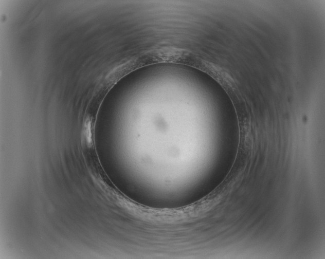 X0000086060042200703301052