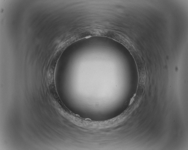 X0000086060043200703301052