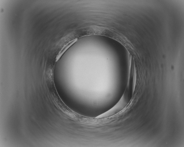 X0000086060045200703301052