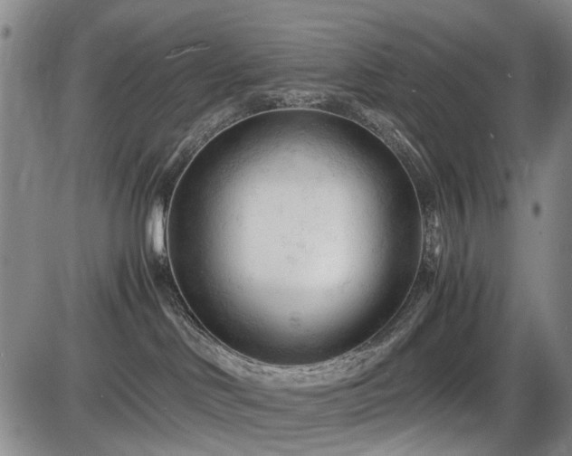 X0000086060046200703301052