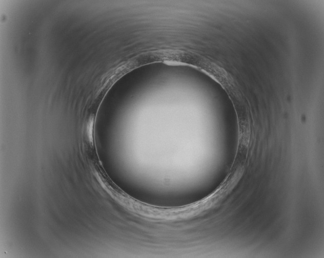 X0000086060047200703301052