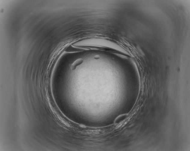 X0000086060049200703301051