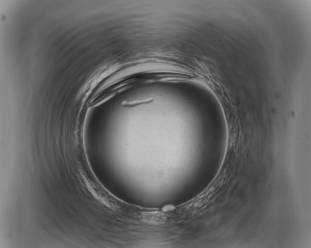 X0000086060050200703301051