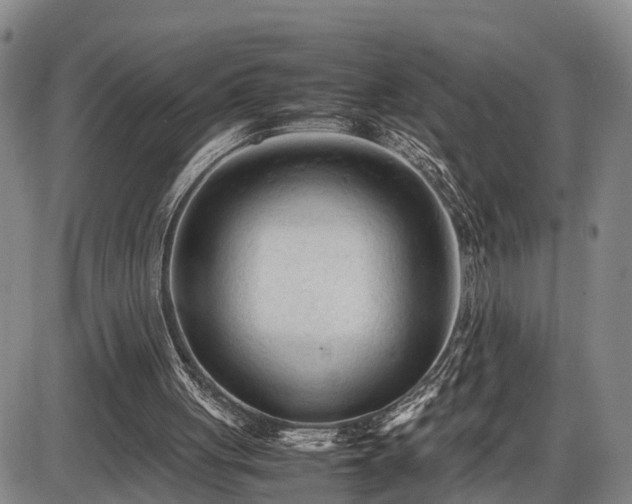 X0000086060051200703301051