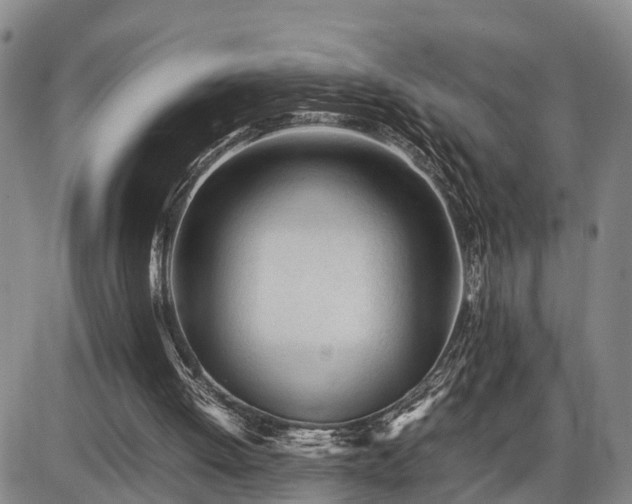 X0000086060052200703301051