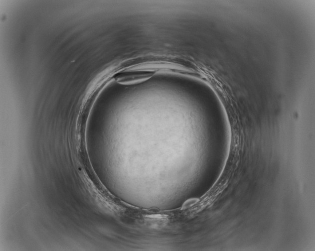 X0000086060053200703301051