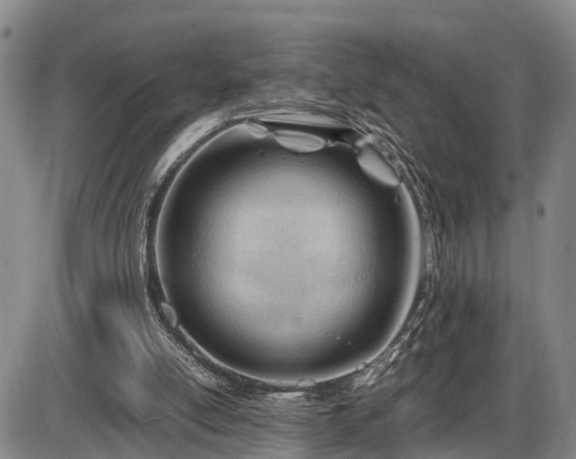 X0000086060054200703301051