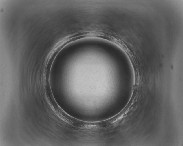 X0000086060055200703301051