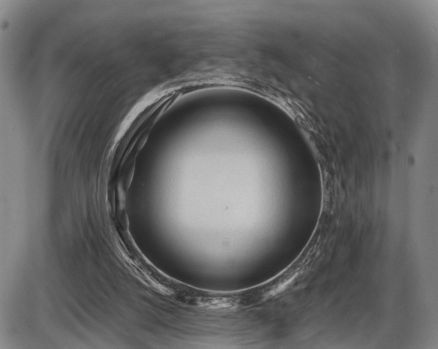 X0000086060056200703301051