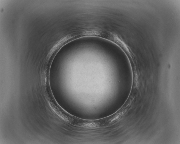 X0000086060059200703301051