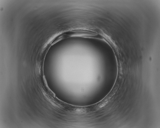 X0000086060060200703301051