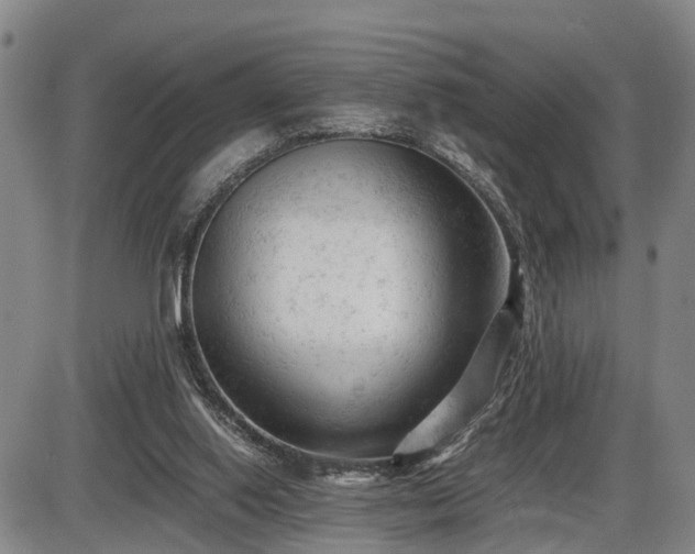 X0000086060062200703301051