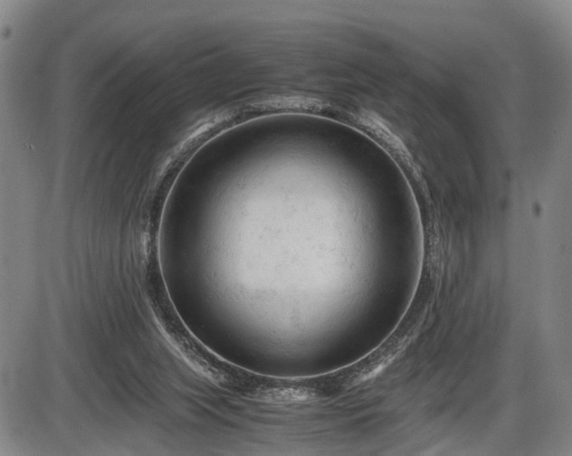 X0000086060063200703301051