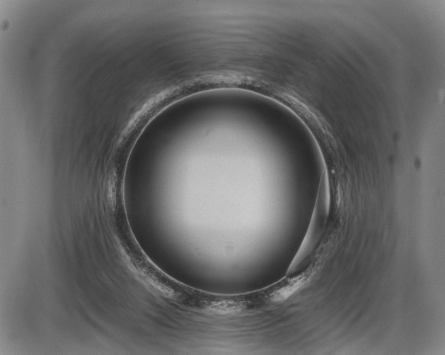 X0000086060064200703301051