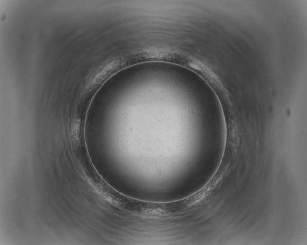 X0000086060066200703301051