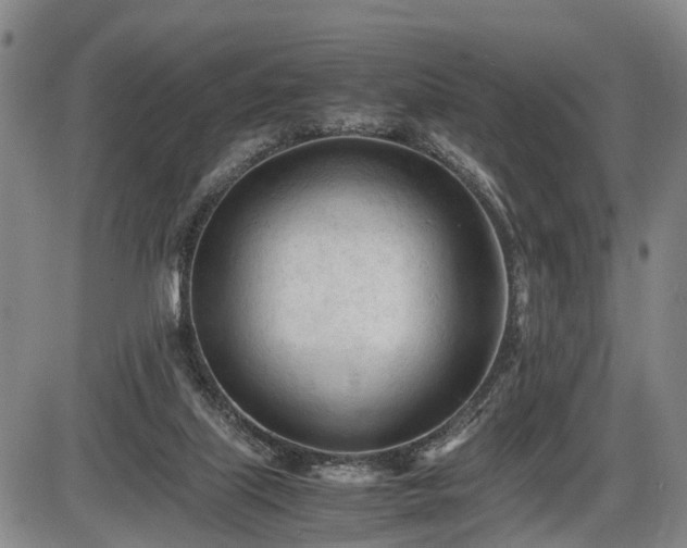 X0000086060067200703301051