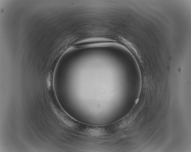 X0000086060069200703301051