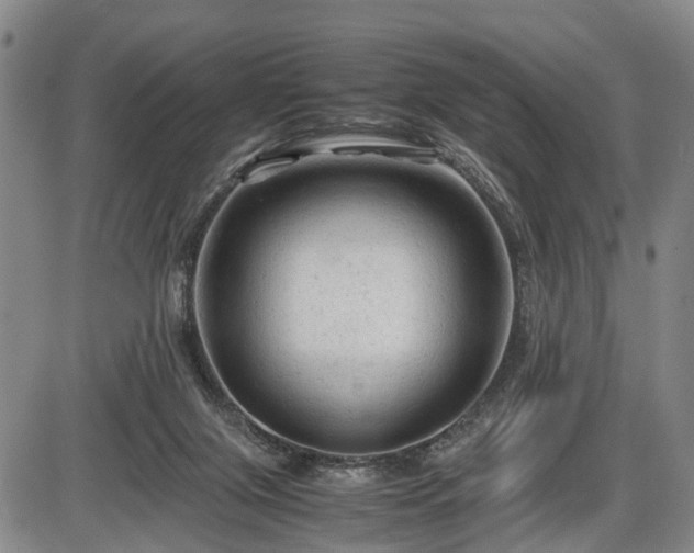 X0000086060071200703301051