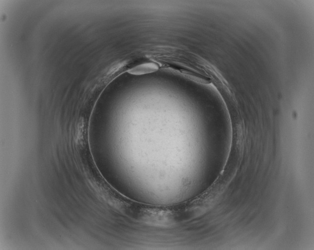 X0000086060073200703301051