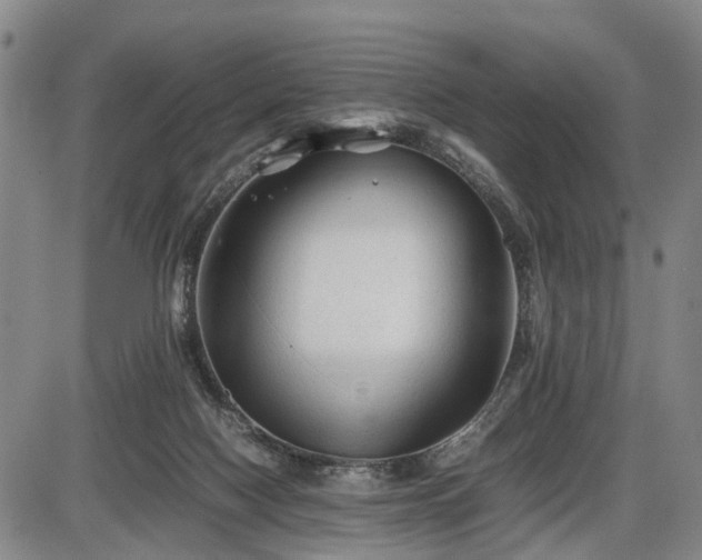 X0000086060074200703301051