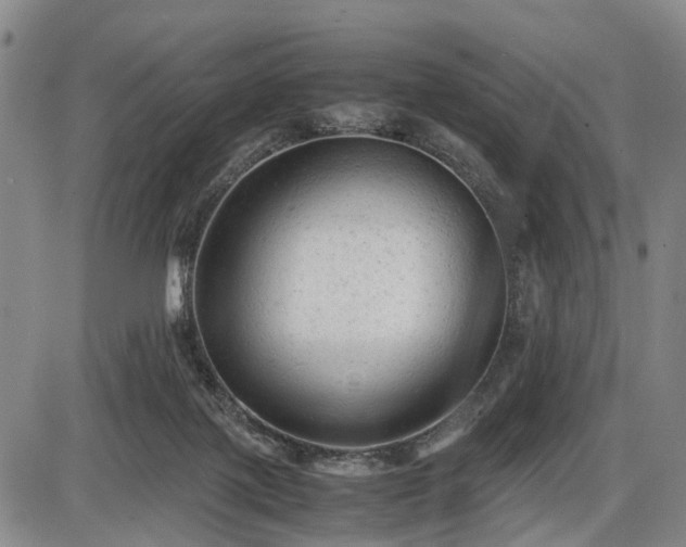 X0000086060075200703301051