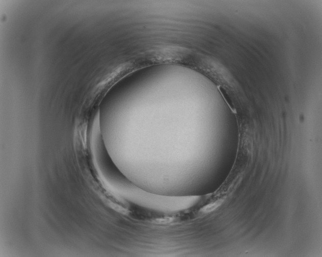 X0000086060076200703301051