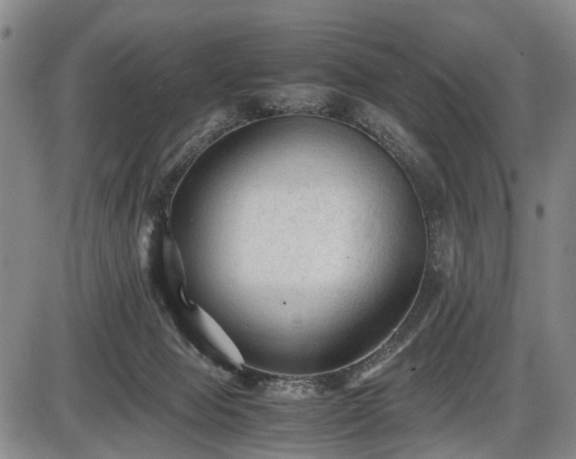 X0000086060077200703301051