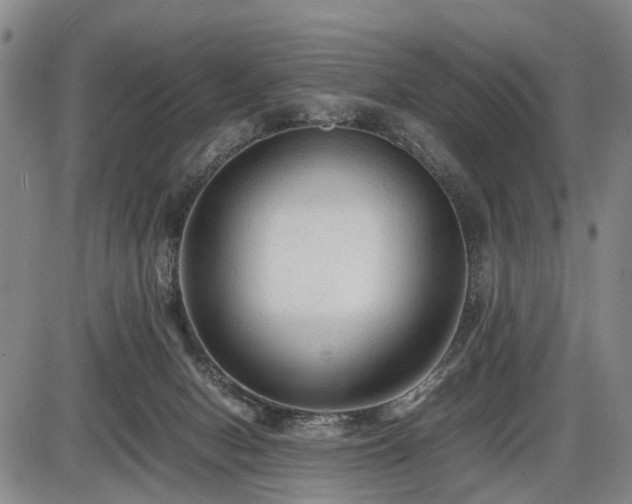 X0000086060078200703301051