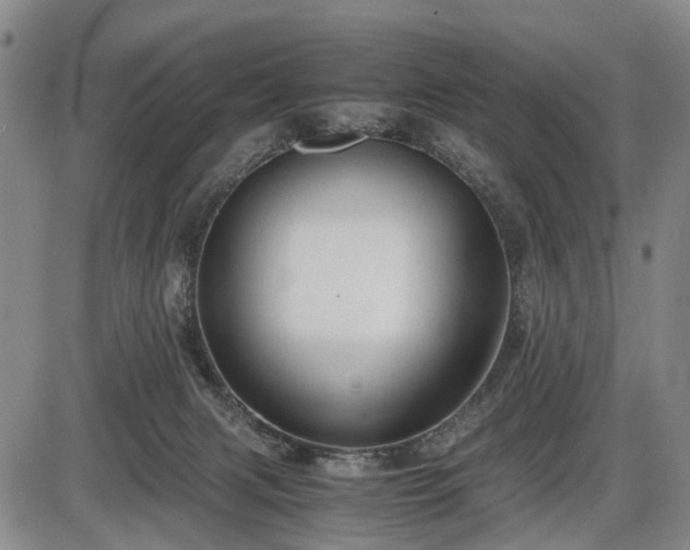 X0000086060079200703301052