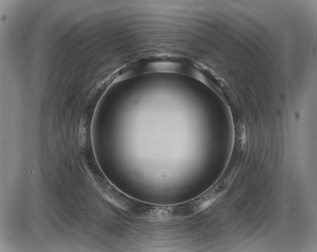 X0000086060080200703301052