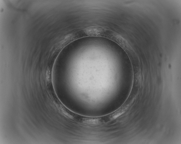 X0000086060081200703301052