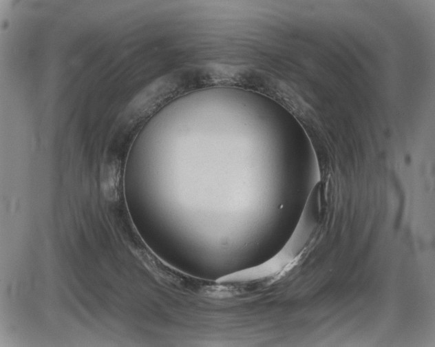 X0000086060082200703301052