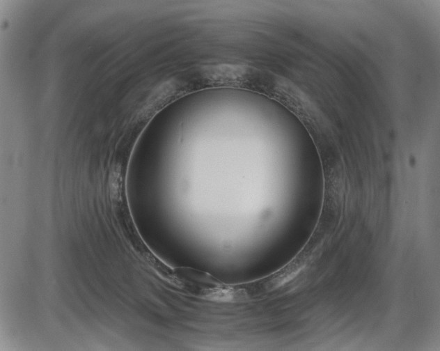 X0000086060083200703301052